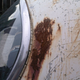 Illustration for article titled Wisconsin Rust Trip
